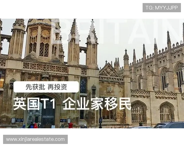 英国T1企业家移民政策解析与成功申请全流程指南